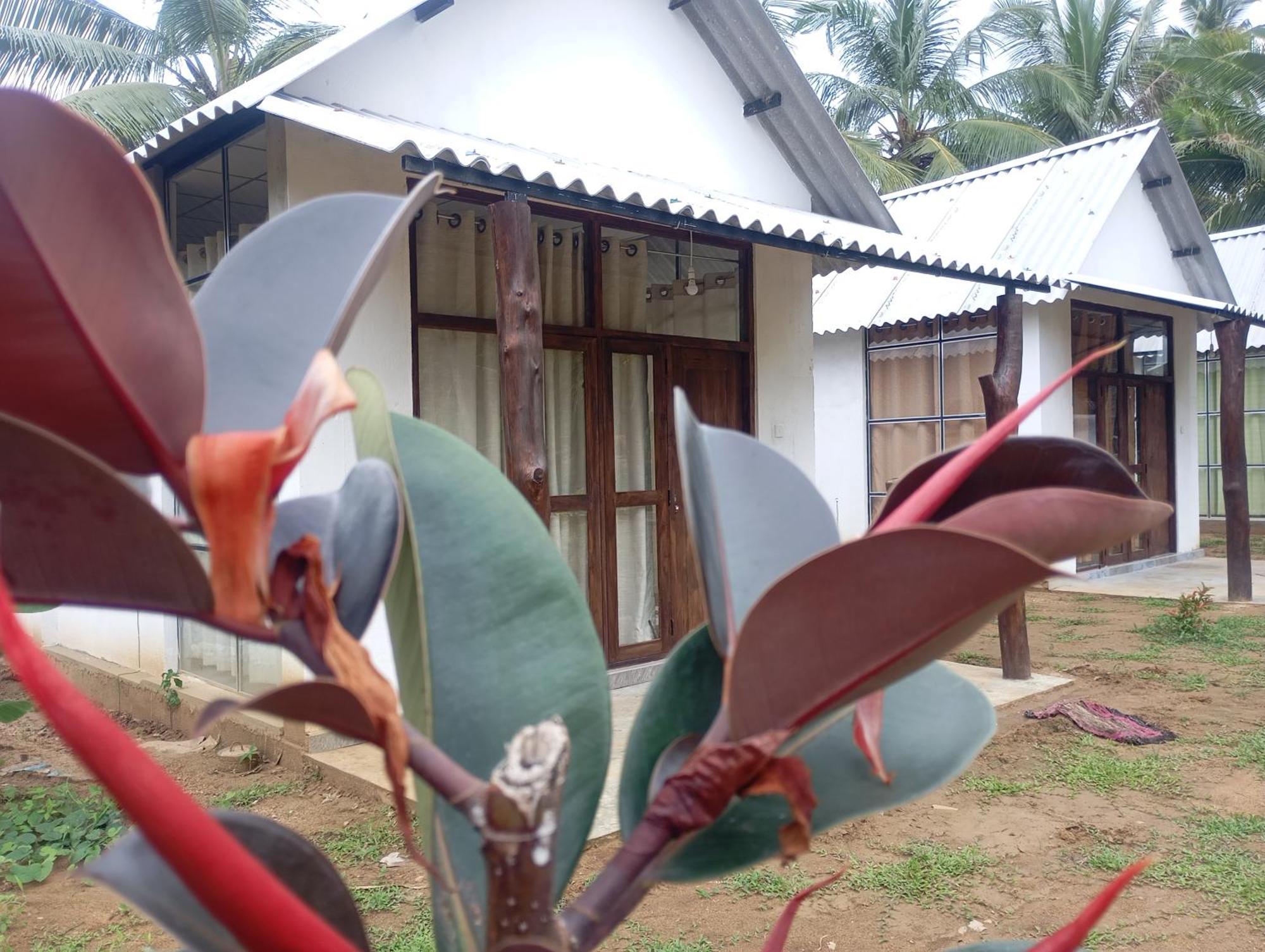 Share Safari&Homestay Udawalawe Exteriör bild